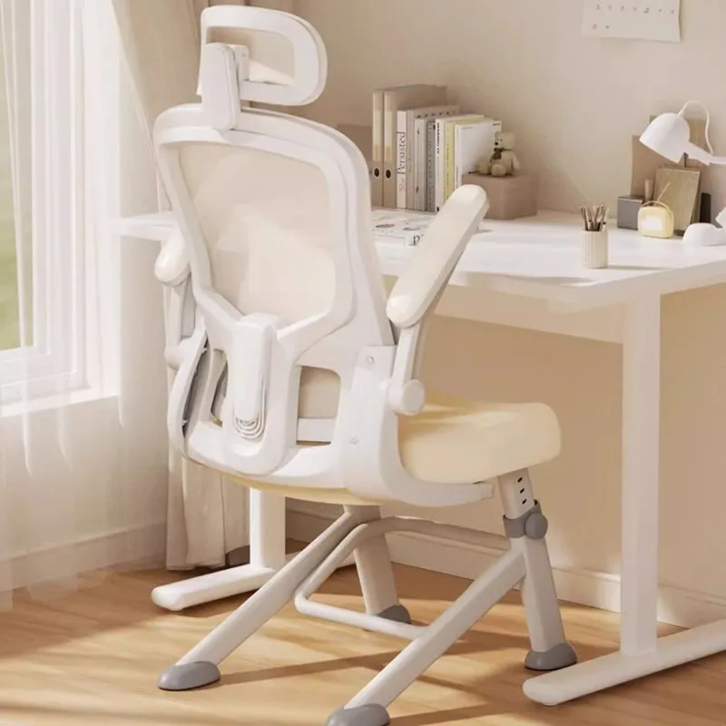 Ergonomic Chair Office Furnitu - Pc Gaming Lounge のレビューと価格